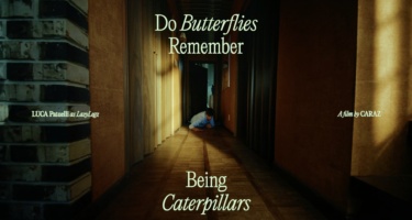 Still image from Do Butterflies Remember Being Caterpillars
